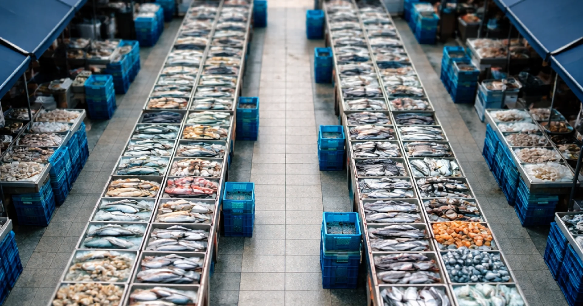 ・Fish Market・２２×２０×１５・ ・ Olhão's Fish Market and What It Tells You About Where to Eat on